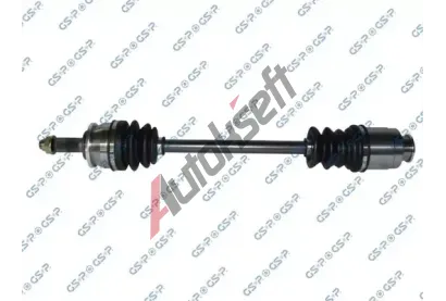 GSP Hnac hdel GSP 256007, 256007