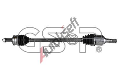 GSP Hnac hdel GSP 256066, 256066