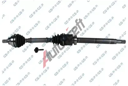 GSP Hnac hdel GSP 256093, 256093