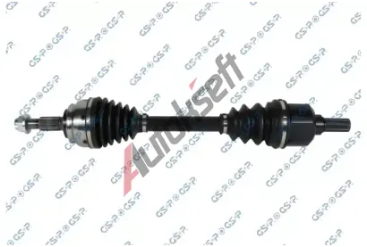 GSP Hnac hdel GSP 256288, 256288