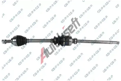 GSP Hnac hdel GSP 256333, 256333