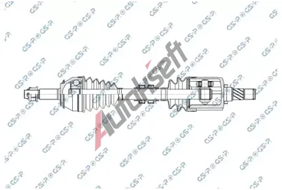 GSP Hnac hdel GSP 257378, 257378