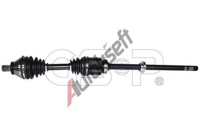 GSP Hnac hdel GSP 259346, 259346