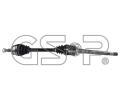 GSP Hnac hdel ‐ GSP 259480