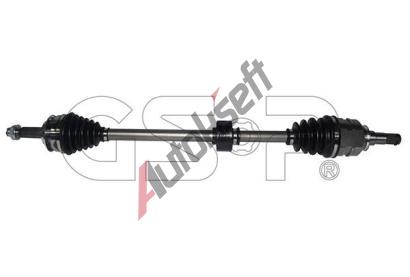 GSP Hnac hdel GSP 259699, 259699