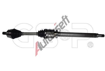 GSP Hnac hdel GSP 262110, 262110