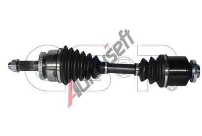 GSP Hnac hdel GSP 299278, 299278