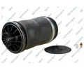 Vzduchov pruina podvozku GSP ‐ GSP 35100450
