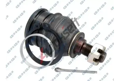 GSP ep ramene GSP S063543, S063543