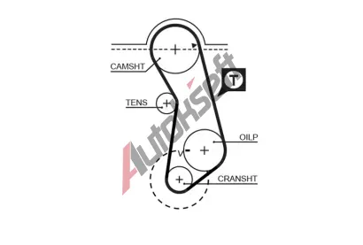 GATES Ozuben emen PowerGrip GT 5016, 5016