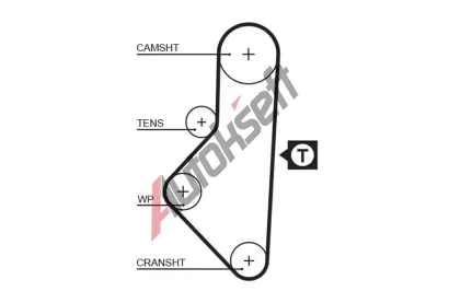 GATES Ozuben emen PowerGrip GT 5050XS, 5050XS