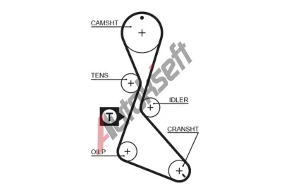 GATES Ozuben emen PowerGrip GT 5056, 5056