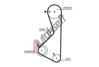 GATES Ozuben emen PowerGrip GT 5075XS, 5075XS