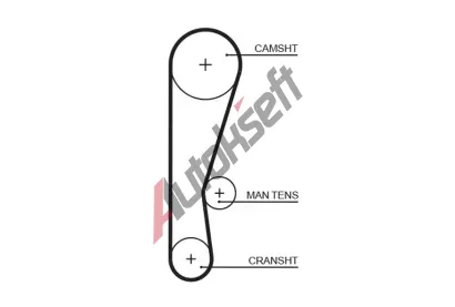 GATES Ozuben emen PowerGrip GT 5119, 5119