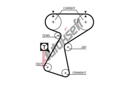 GATES Ozuben emen PowerGrip GT 5244XS, 5244XS