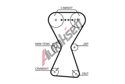 GATES Ozuben emen PowerGrip GT 5255XS, 5255XS