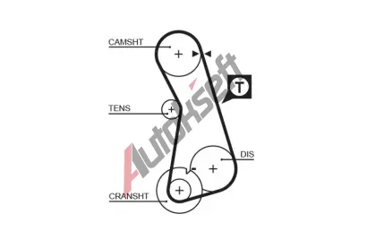 GATES Ozuben emen PowerGrip GT 5308XS, 5308XS