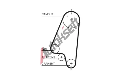 GATES Ozuben emen PowerGrip GT 5310XS, 5310XS