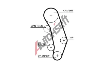 GATES Ozuben emen PowerGrip GT 5346XS, 5346XS