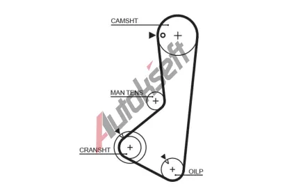 GATES Ozuben emen PowerGrip GT 5372XS, 5372XS