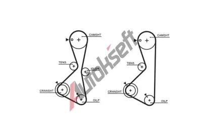 GATES Ozuben emen PowerGrip GT 5373XS, 5373XS