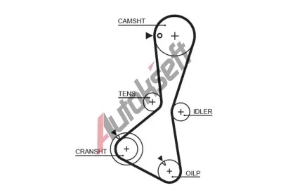 GATES Ozuben emen PowerGrip GT 5374XS, 5374XS