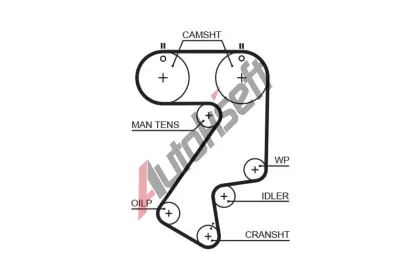 GATES Ozuben emen PowerGrip GT 5404XS, 5404XS