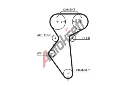 GATES Ozuben emen PowerGrip GT 5419XS, 5419XS