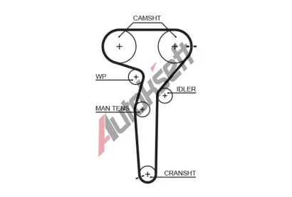 GATES Ozuben emen PowerGrip GT 5423XS, 5423XS