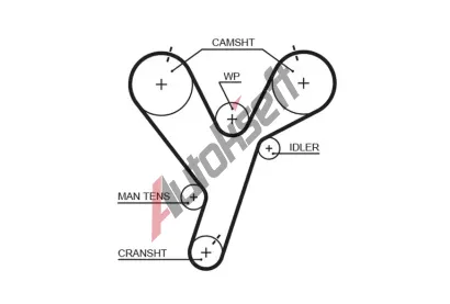 GATES Ozuben emen PowerGrip GT 5446XS, 5446XS