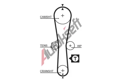 GATES Ozuben emen PowerGrip GT 5454XS, 5454XS