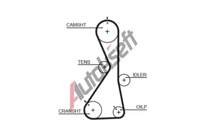 GATES Ozuben emen PowerGrip GT 5481XS, 5481XS