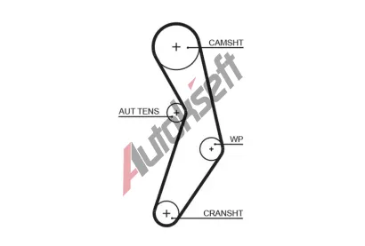 GATES Ozuben emen PowerGrip GT 5503XS, 5503XS