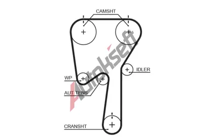 GATES Ozuben emen PowerGrip GT 5509XS, 5509XS