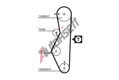 GATES Ozuben emen PowerGrip GT 5521, 5521