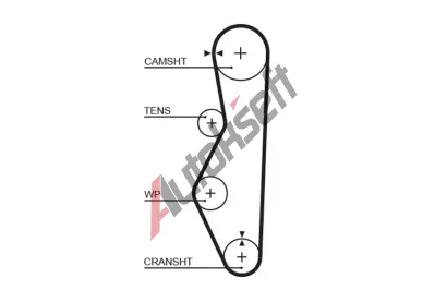 GATES ozuben emen PowerGrip GT 5521XS, 5521XS