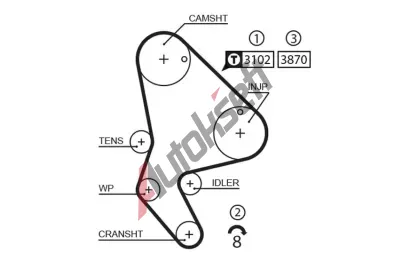 GATES Ozuben emen PowerGrip GT 5523XS, 5523XS