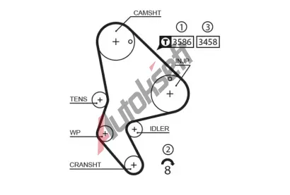 GATES Ozuben emen PowerGrip GT 5524XS, 5524XS