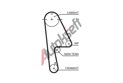 GATES Ozuben emen PowerGrip GT 5529XS, 5529XS