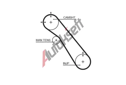 GATES Ozuben emen PowerGrip GT 5548XS, 5548XS