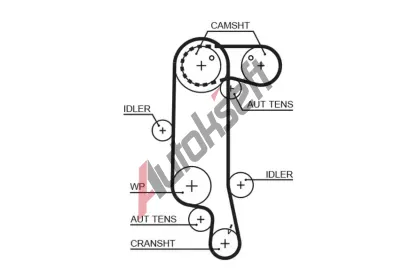 GATES Ozuben emen PowerGrip GT 5565XS, 5565XS