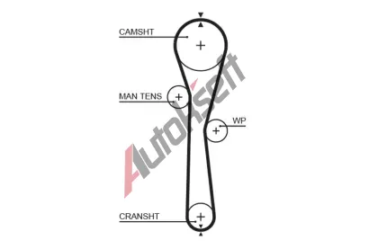 GATES Ozuben emen PowerGrip GT 5577XS, 5577XS