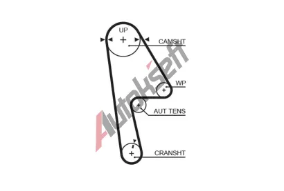 GATES Ozuben emen PowerGrip GT 5593XS, 5593XS