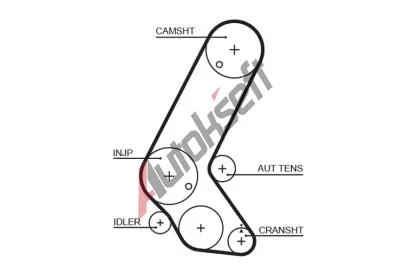 GATES Ozuben emen PowerGrip GT 5595XS, 5595XS