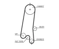 GATES Ozuben emen PowerGrip ‐ GT 5597XS