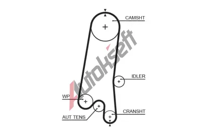 GATES Ozuben emen PowerGrip GT 5597XS, 5597XS