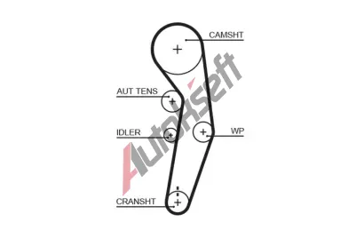 GATES Ozuben emen PowerGrip GT 5601XS, 5601XS