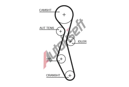 GATES Ozuben emen PowerGrip GT 5633XS, 5633XS