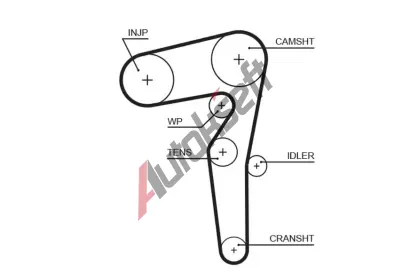 GATES Ozuben emen PowerGrip GT 5646XS, 5646XS