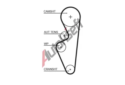 GATES Ozuben emen PowerGrip GT 5670XS, 5670XS